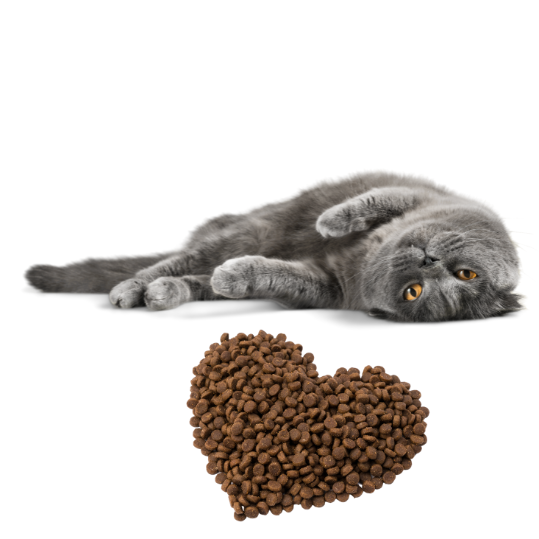 Katzenfutter