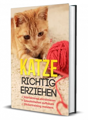 katze-richtig-erziehen-3d-1.png